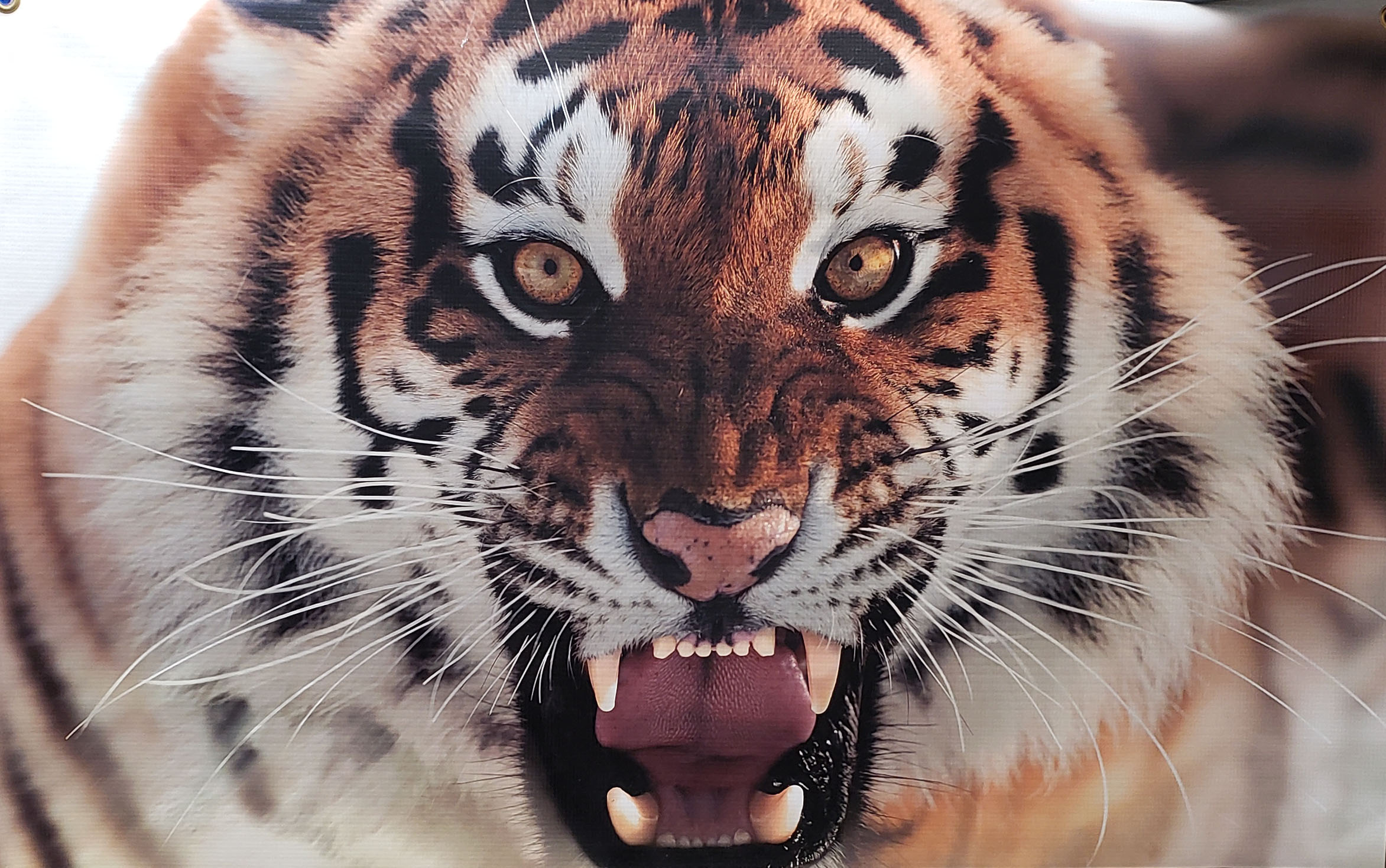 13 oz scrim  Banners