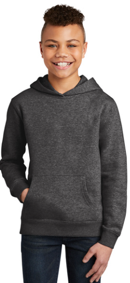 District® Youth V.I.T.™ Fleece Hoodie - DT6100Y