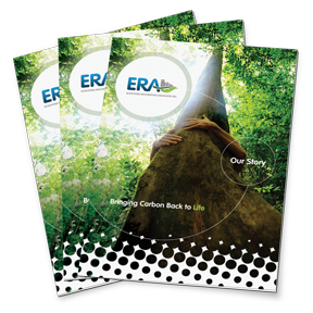 11x17 Brochure example