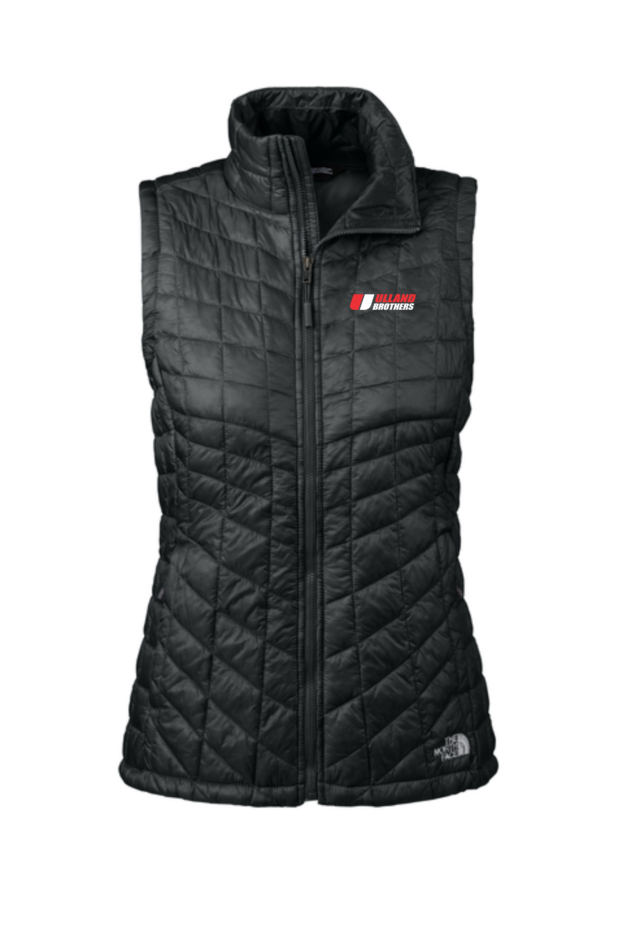 THE NORTH FACE LADIES VEST NF0A3LHL