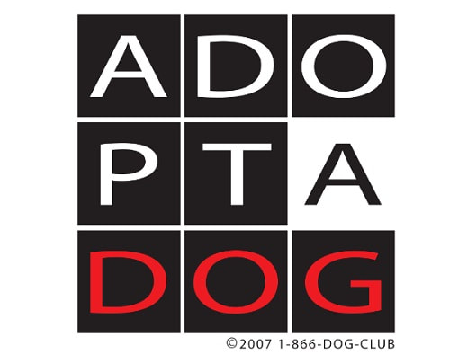 Adopt a Dog