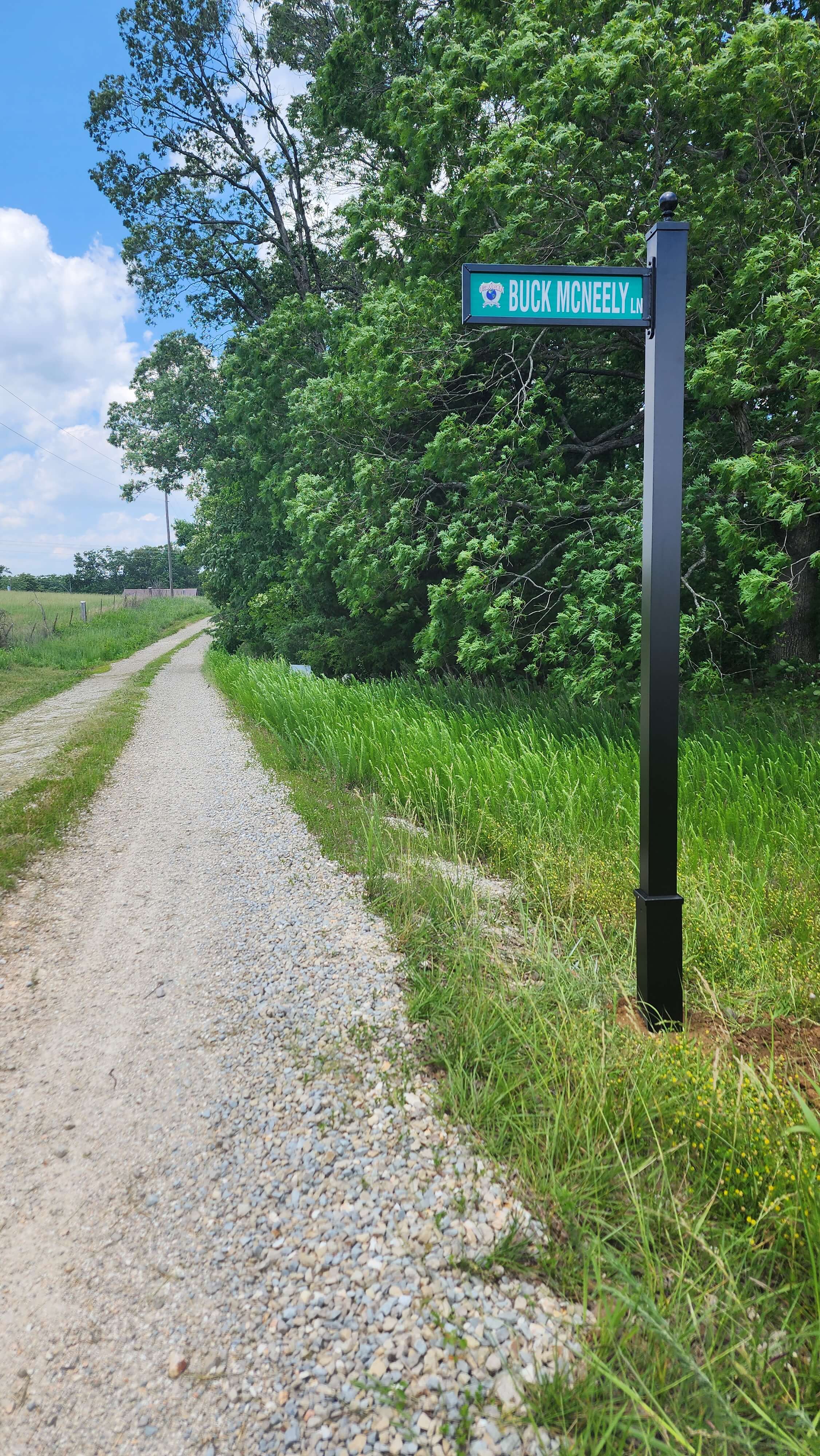 Placeholder Image 13