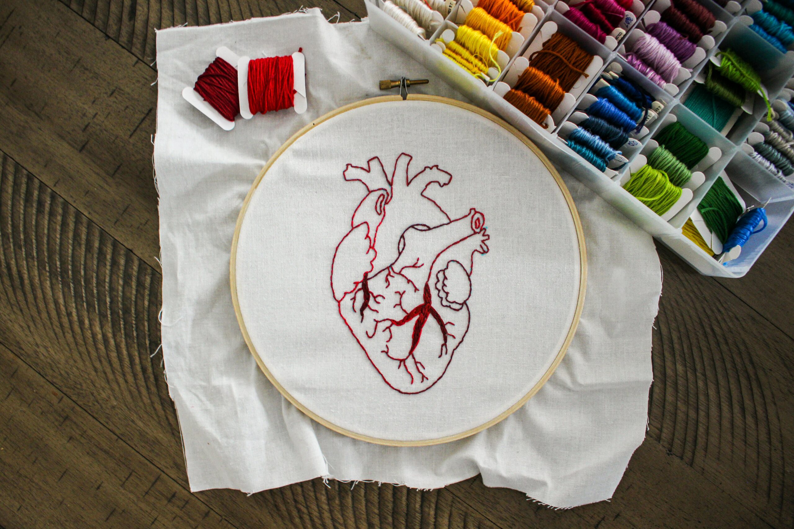 Embroidered Garments