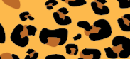 Leopard Print