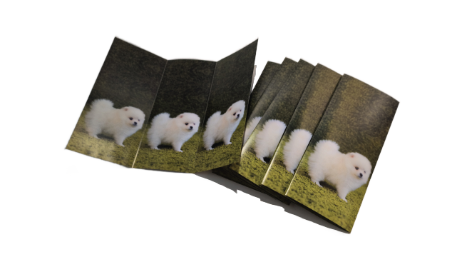 Folded Brochures