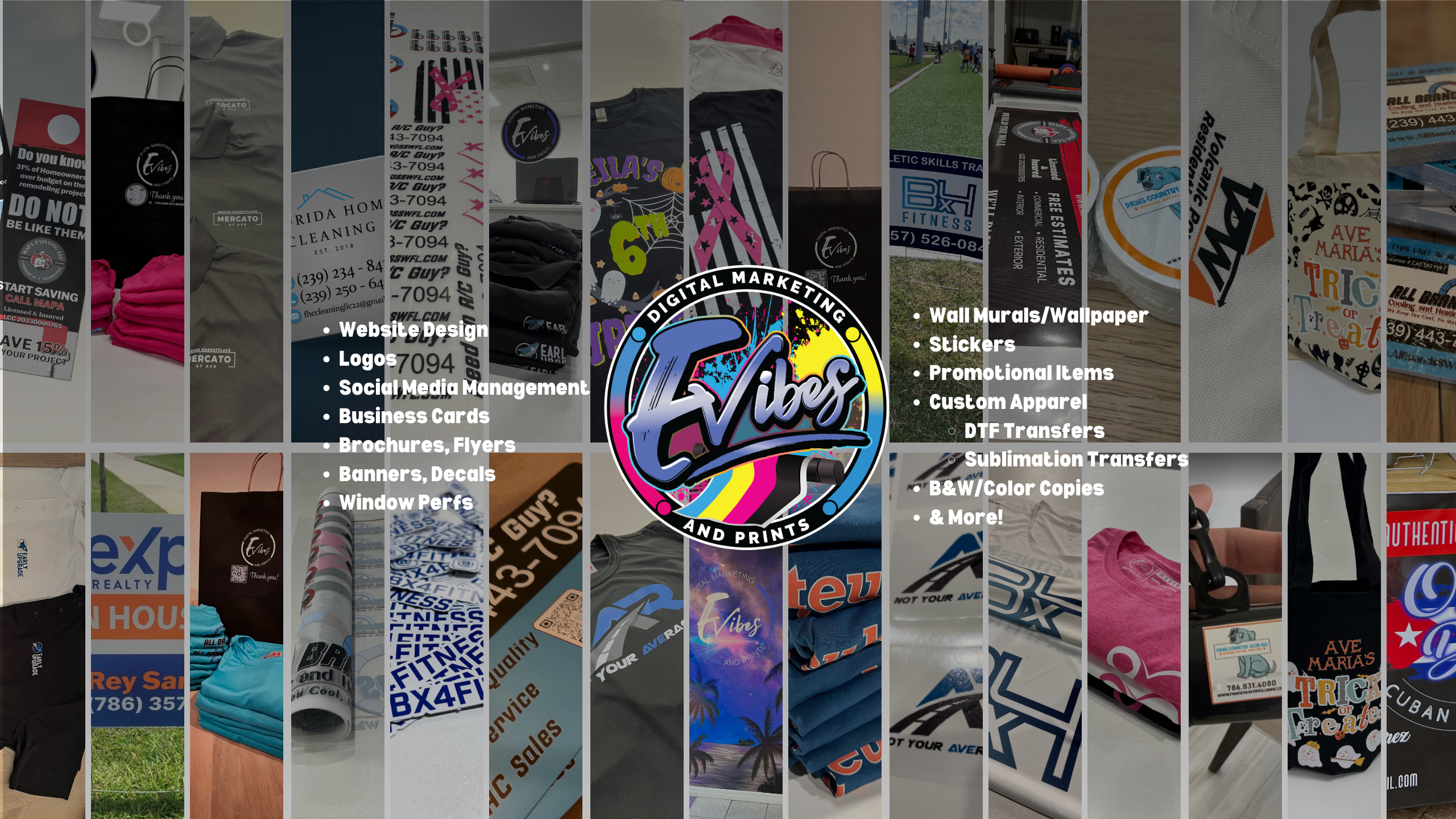 Evibes Digital Marketing & Prints cover