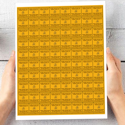 1x1square.jpg image