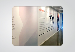 Wall Murals