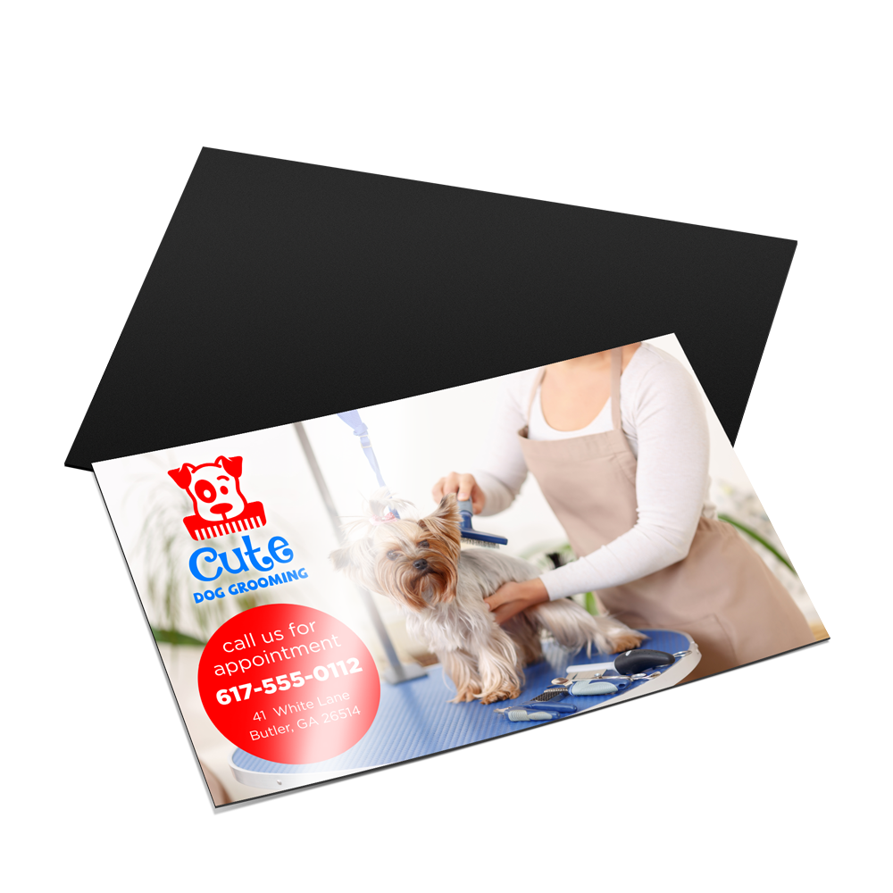 Magnet Business Cards