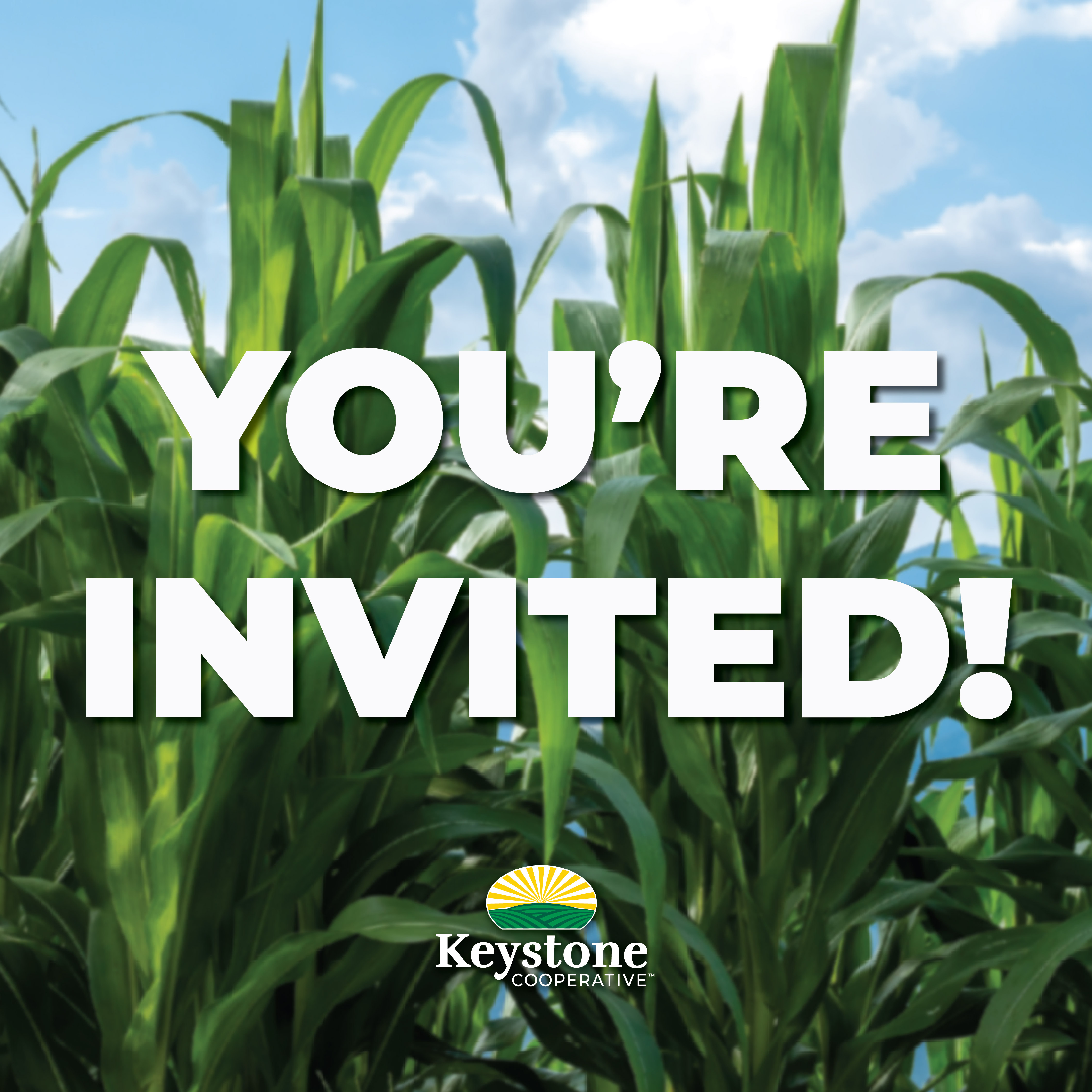 Corn Grower Meeting Graphic