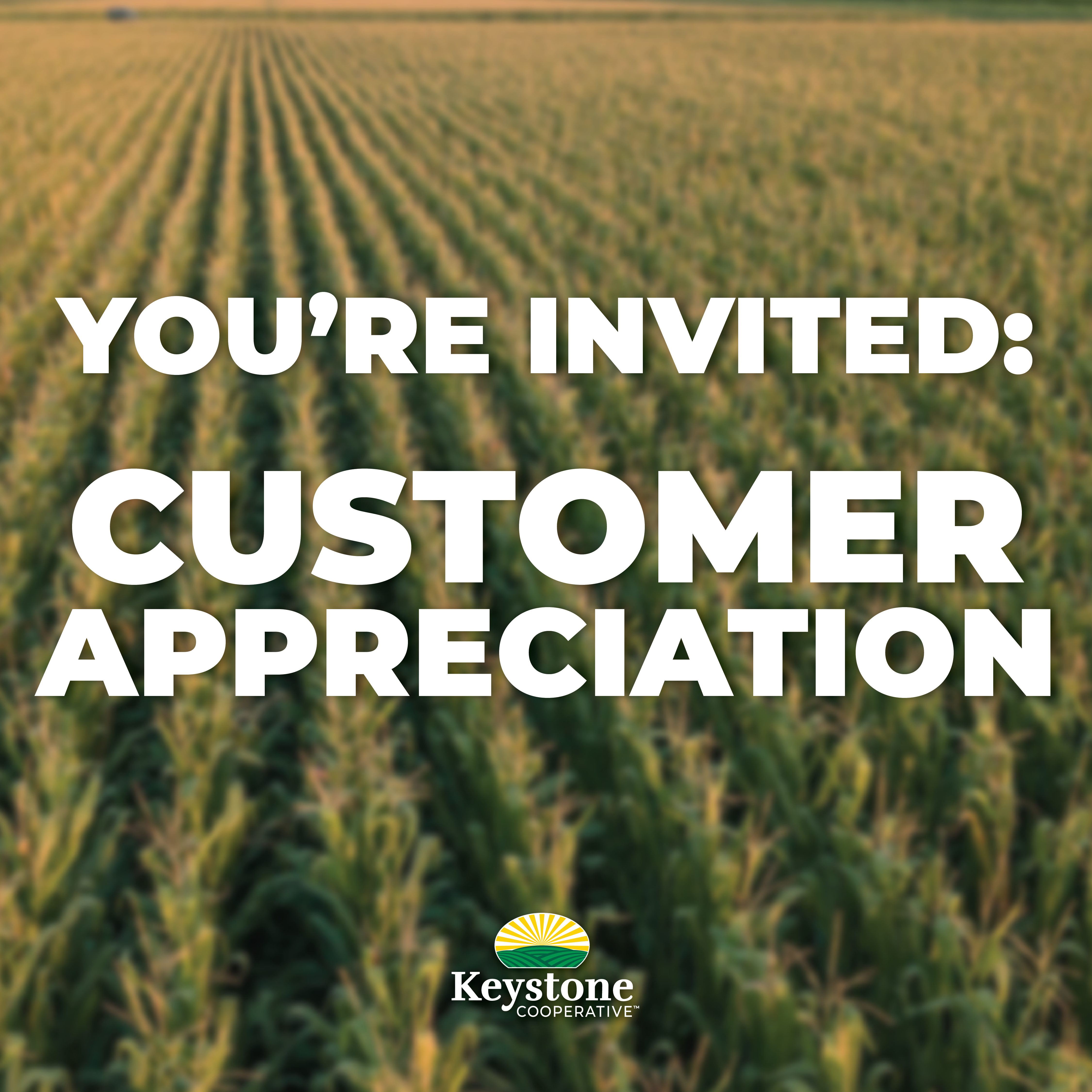 Customer Appreciation Graphic