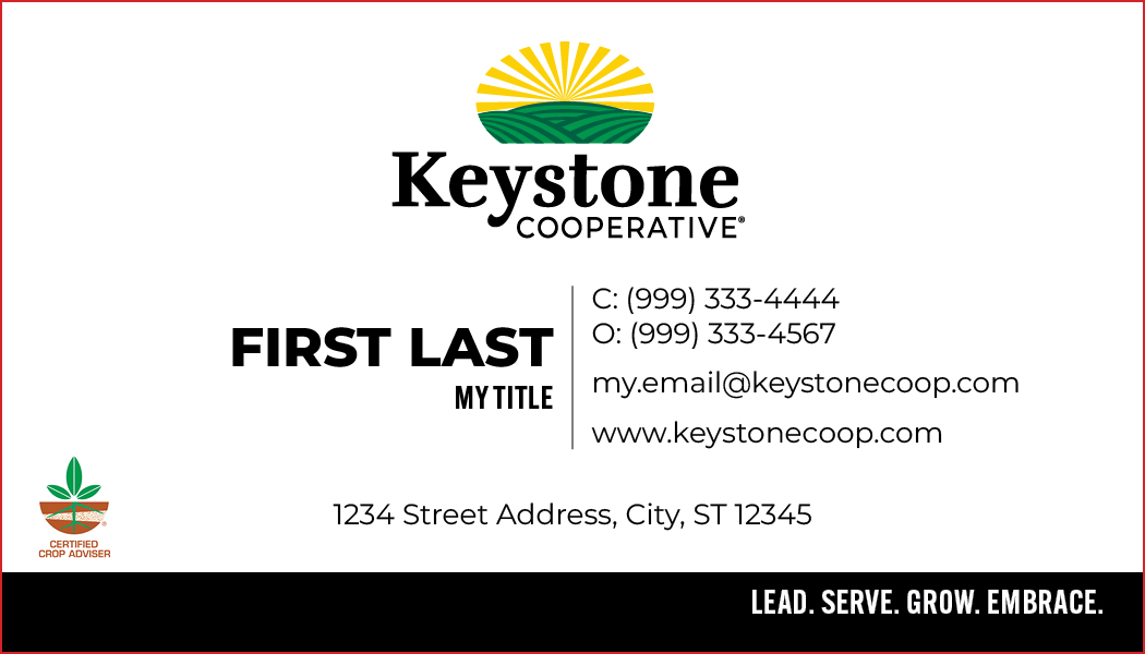 Keystone Business Cards with CCA Logo