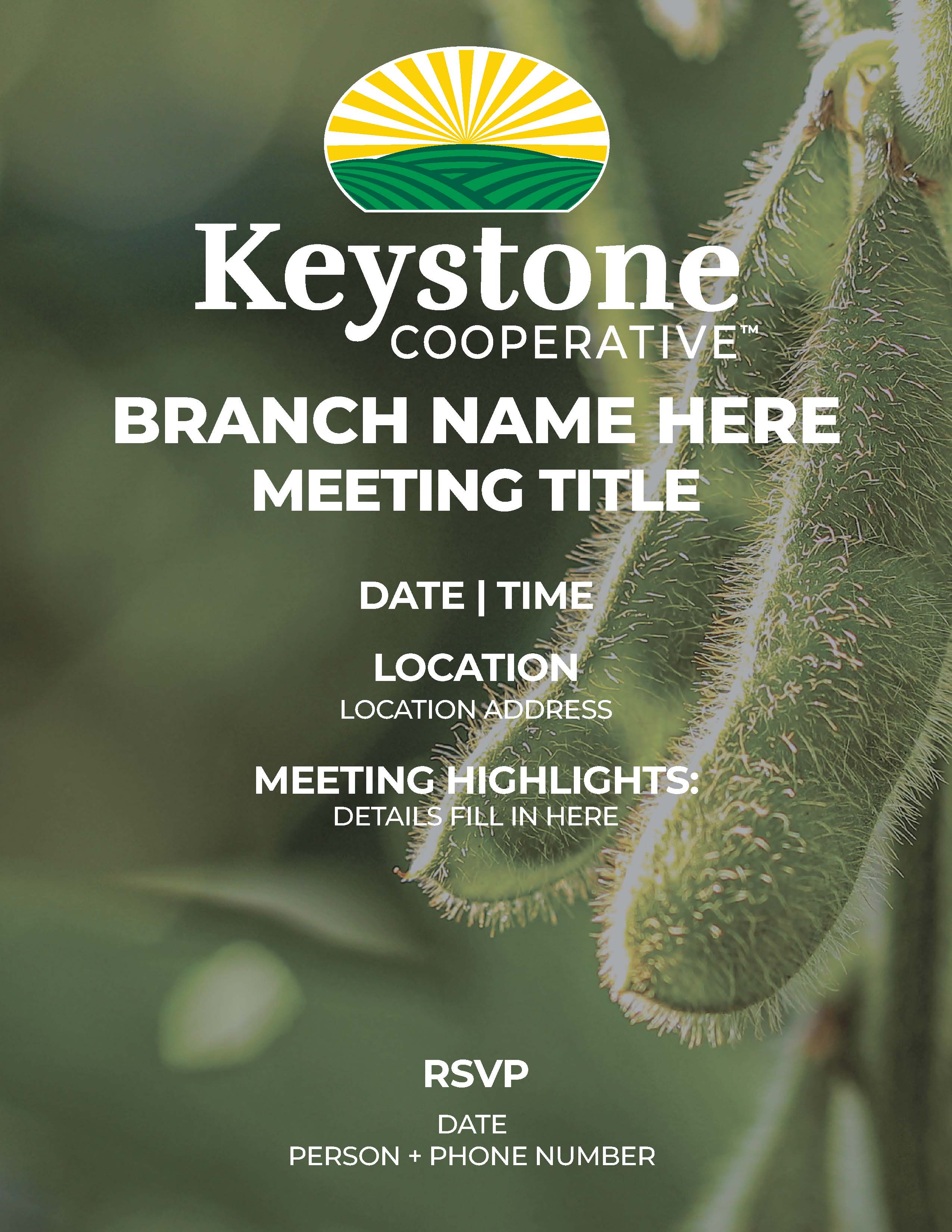 Soybean Grower Meeting Flyer