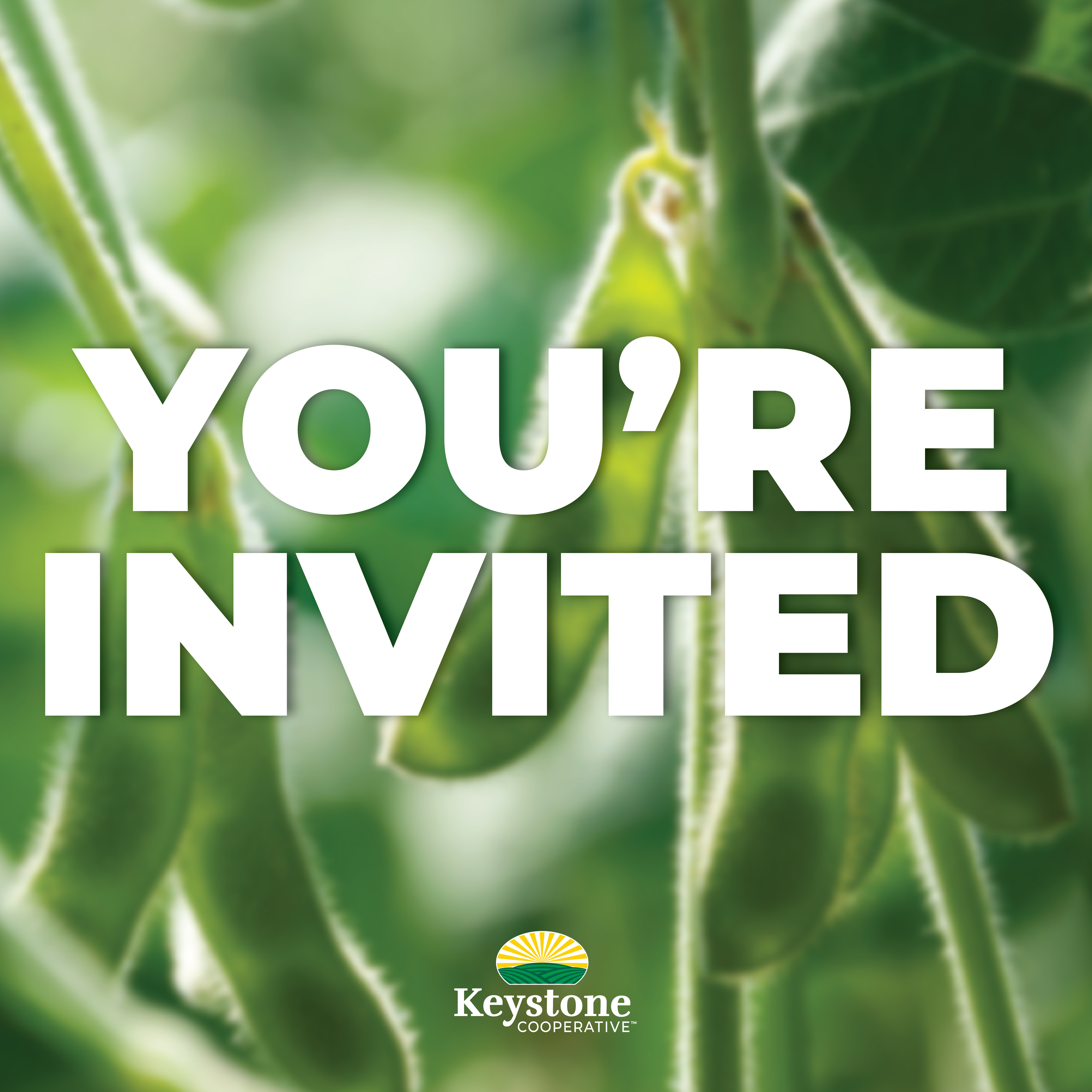 Soybean Grower Meeting Graphic