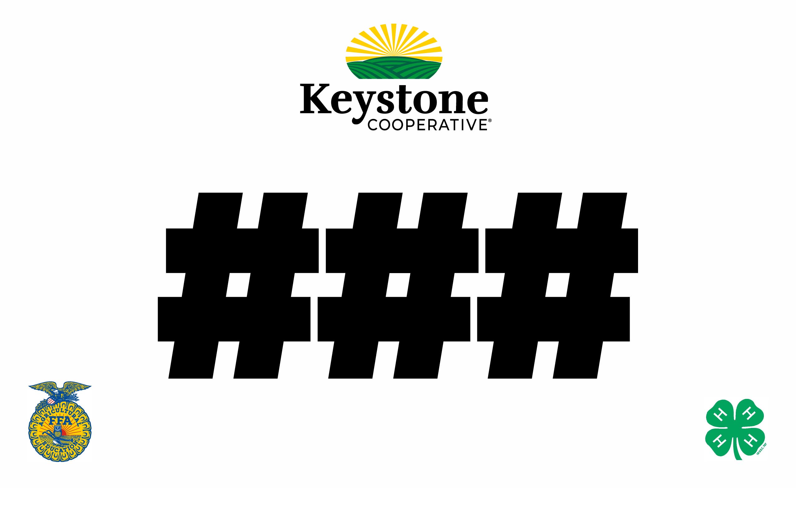 FFA Numbered Back Cards 