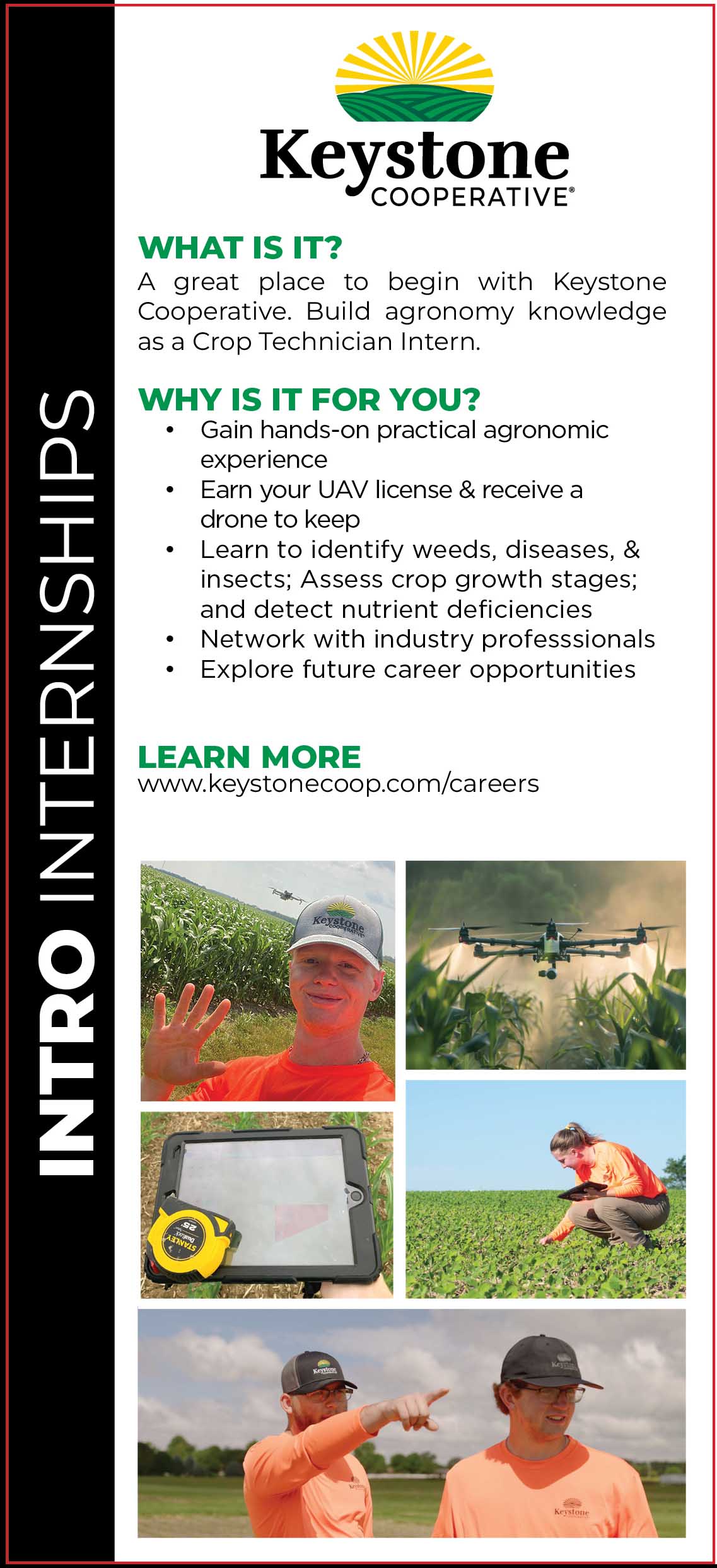 Scouting Internship Card