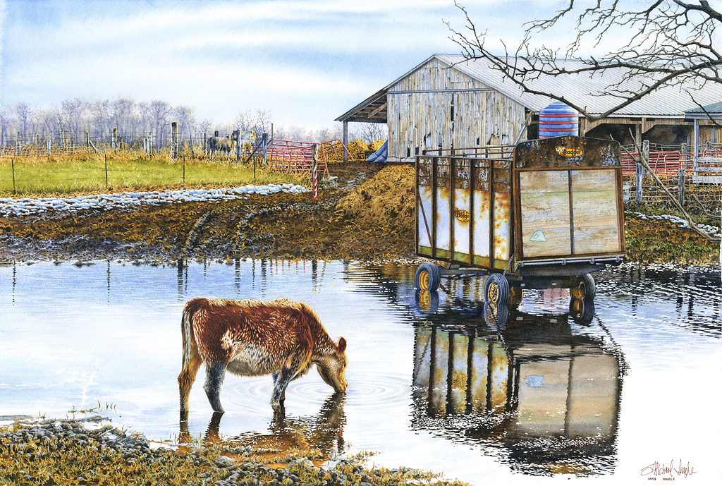Reflections In Spring