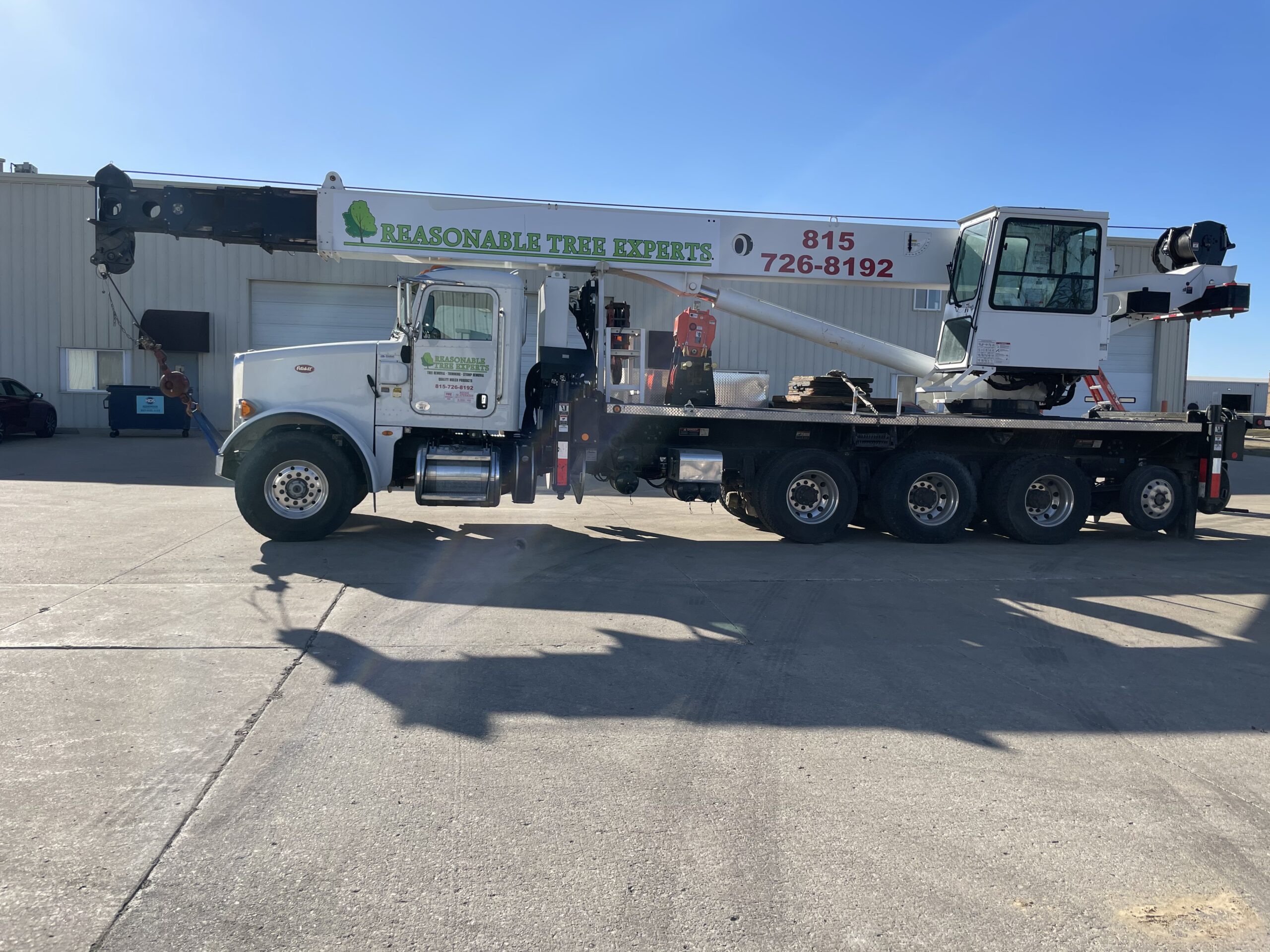 Forest path thumbnail