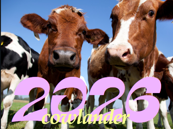 COWLANDER 2026