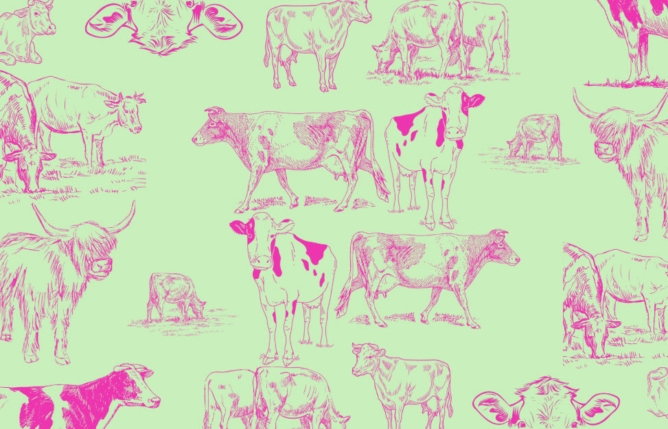 Cowprints by HG - Placemats
