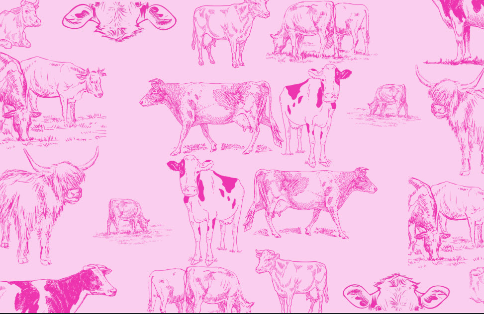 Birthday Placemats
