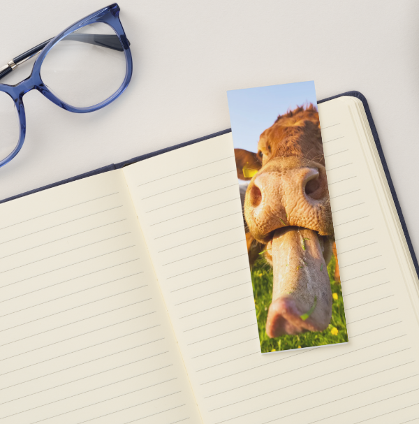 Bookmark-Mm Good- PK of 2